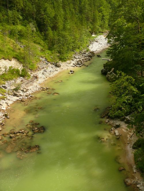 Steyrische Salza, Upė, Austria, Laukiniai, Romantiškas