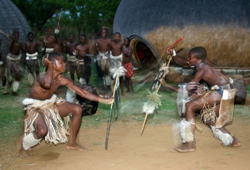 Stick Kovoti, Zulu Šokėjai, Paslėpti Skydus, Gyvūninės Odos Sijonai, Izibindi Pietų Afrikai, Tradicija, Kultūra
