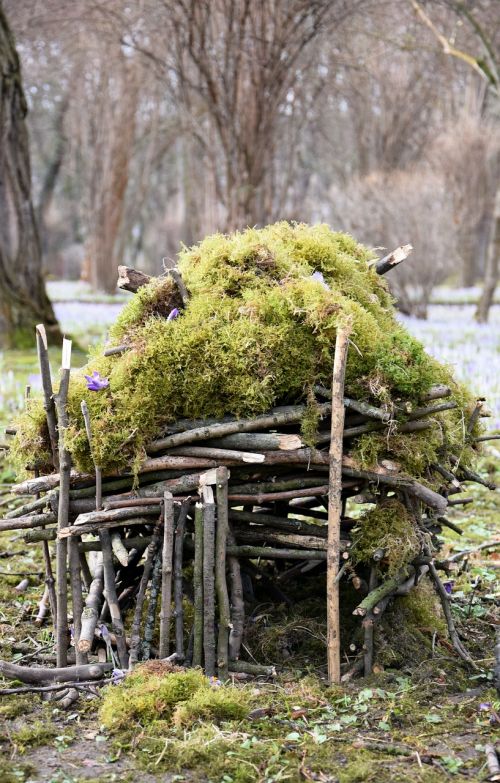 Lazdos, Samanos, Gamta, Rankų Darbo, Statyti, Nustatyti, Estetinis, Crocus, Pieva, Gėlė