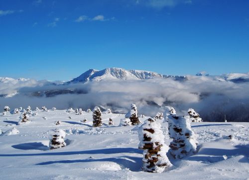 Stoanerne Mandln, Žiema, Sniegas, Snieguotas, Gamta, Kraštovaizdis, Meltina, South Tyrol, Italy