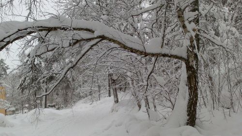 Stockholm, Žiema, Sniegas, Žiemos Svajonė, Žiemą, Snieguotas