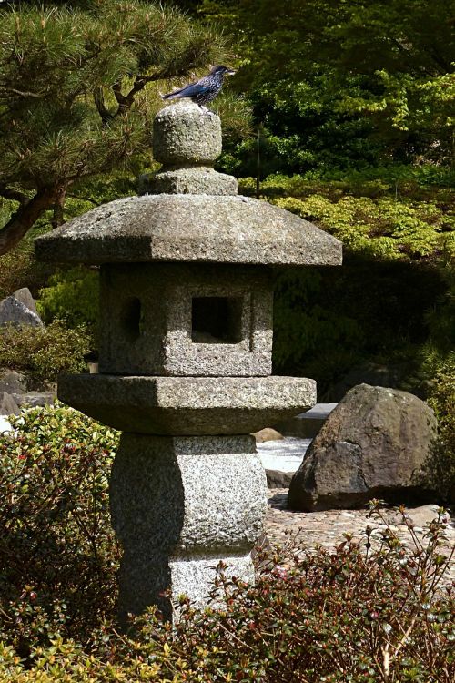 Akmeninė Lempa, Japoniškas Akmenų Žibintas, Asian Kultūra, Parkas, Fondas