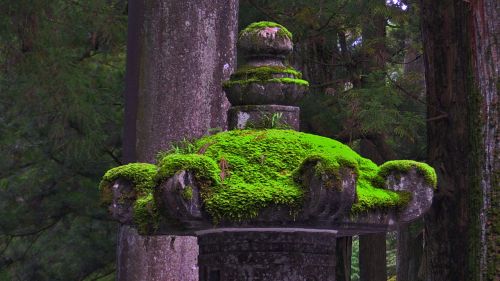 Akmeninis Žibintas, Samanos, Japonija, Nikko