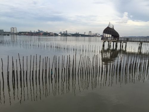 Johoro Sąsiauris, Gamtos Rezervatas, Krevetės Ūkininkavimas