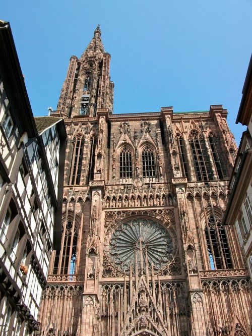 Strasbourg, Katedra, Rozetė