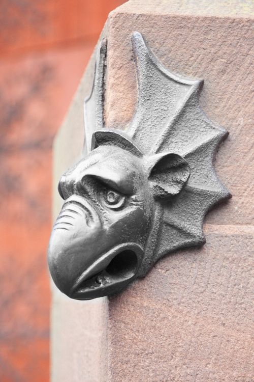 Strasbourg, Gargoyle, Alsace, Katedra