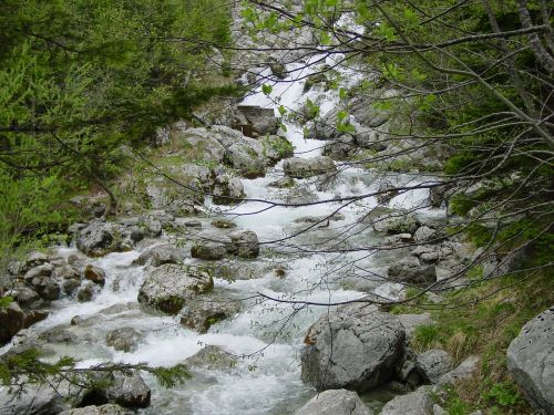 Srautas, Gamta, Akmenys, Miškas, Vanduo, Upė, Kalnų Upelis, Slovenia, Alpių