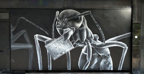 Gatvė, Menas, Grafiti, Croydon, Uk