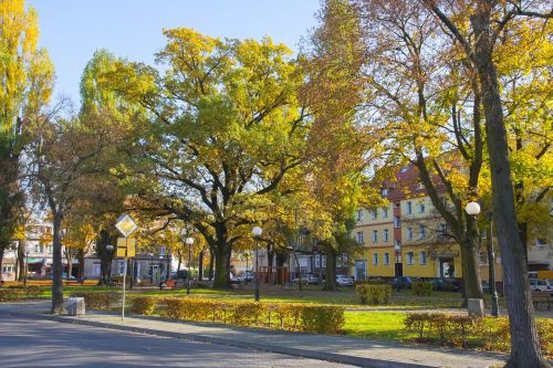 Słubice, Parkas, Medis