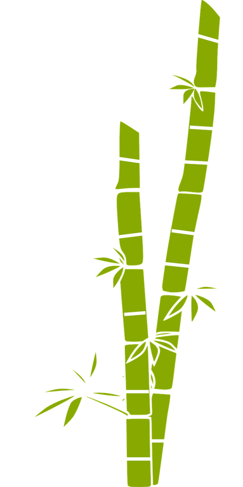 Cukranendrė, Bambukas, Augalas, Gamta, Ekologiškas, Nemokama Vektorinė Grafika
