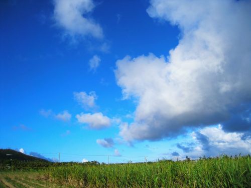 Cukranendrių Laukas, Dinamiškas, Mėlynas, Žalias, Dangus, Debesis, Vėjas, Mėlynas Dangus, Balta, Ishigaki Sala, Okinawa, Atokios Salos, Pietų Sala, Japonija