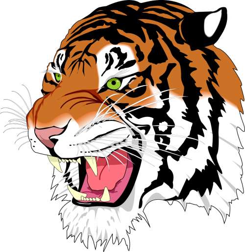 Sumatrano Tigras, Tigras, Žmogus-Eateras, Wildcat, Plėšrūnas, Mėsėdis, Žinduolis, Laukiniai, Gyvūnas, Ūsai, Galva, Dantys, Akys, Nemokama Vektorinė Grafika