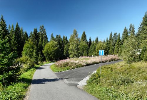 Šumava, Taika, Turizmas, Kelias, Pthe, Miškas