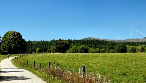 Šumava, Kraštovaizdis, Taika, Turizmas