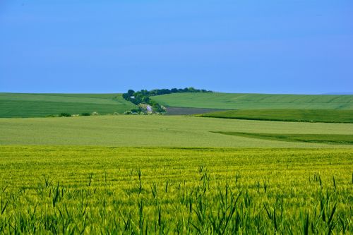 Vasara,  Mėlynas Dangus,  Saulė,  Be Honoraro Mokesčio