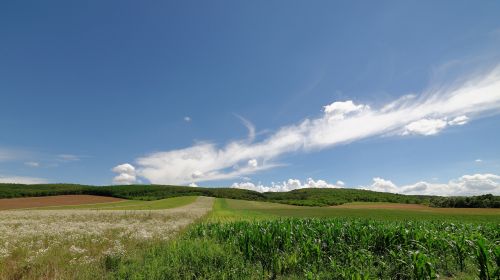 Vasara, Gamta, Kraštovaizdis, Dangus, Debesis, Tapetai