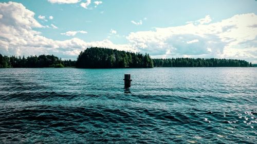 Vasara, Ežeras, Papludimys, Medžiai, Vanduo, Suomių, Gamtos Nuotrauka, Mėlynas, Ežeras Finlande