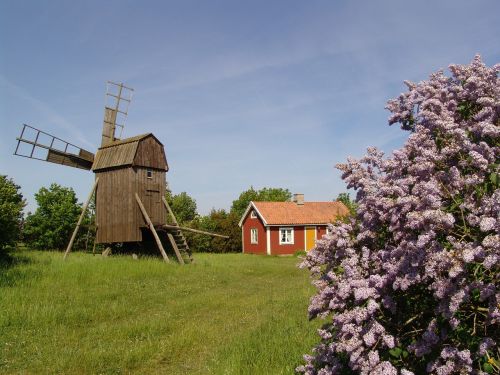 Vasaros Nuotraukos, Švedijos Vasara, Olandų