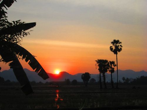 Saulėlydis, Kančanaburis, Tailandas, Palmės, Siluetas, Vakaras, Dusk