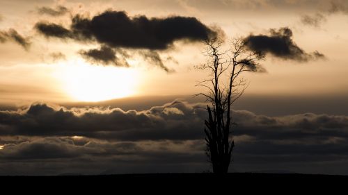 Saulė, Nuotaika, Atgal Šviesa, Debesys, Saulėtekis, Atmosfera, Saulėlydis, Abendstimmung, Medžiai, Vakaras, Vakaro Saulė, Sonnenunetrgang, Dangus, Vakarinis Dangus, Kraštovaizdis, Siluetas