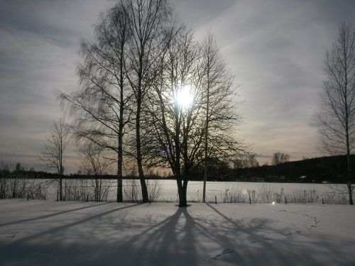 Saulė Už Medžio, Sniegas, Švedija