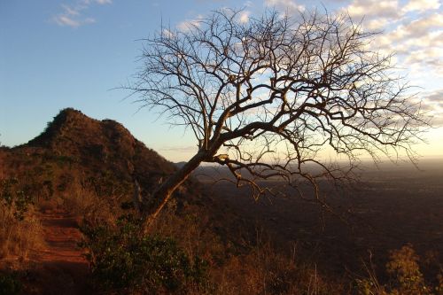 Saulėtekis, Kenya, Afrika, Saulė, Rytas, Šventė