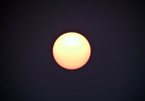 Saulėtekis, Saulė, Aušra, Rytas, Sundarbans, Nacionalinis Parkas, Indija