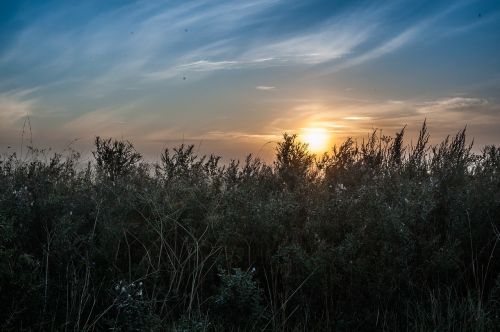 Saulėtekis, Dangus, Wildkreuter, Kraštovaizdis, Gamta