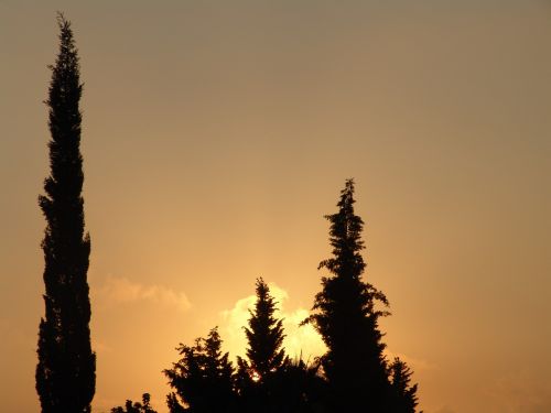 Saulėtekis, Lever De Soleil, Gamta