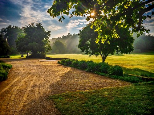 Sunrise,  Medis,  Scena,  Saulė,  Pobūdį,  Dangus,  Kraštovaizdis,  Siluetas,  Rytas