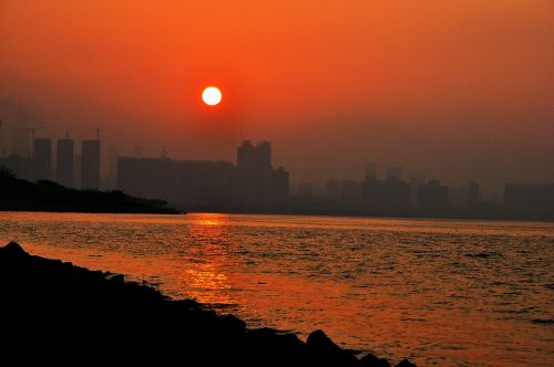 Saulėtekis, Shenzhen, Įlanka, Kranto, Ateitis