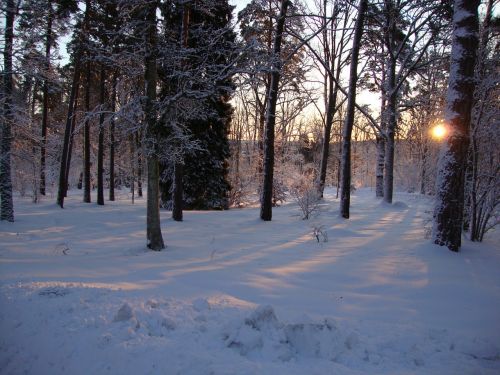 Saulėtekis, Žiema, Miesto Parkas, Jönköping