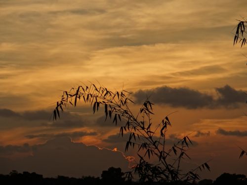 Saulėlydis, Bambuko Giraites, Parodyti Danguje