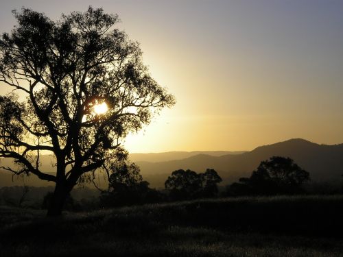 Saulėlydis, Eukaliptas, Kalnai, Gamta, Lauke, Australia