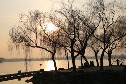 Saulėlydis, Medis, Ežeras, Pekinas, Peizažas