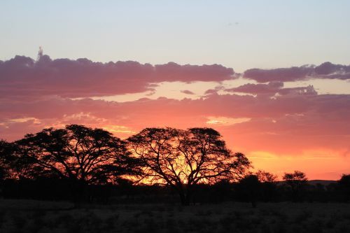 Saulėlydis, Siluetas, Kalahari, Afrika, Dangus