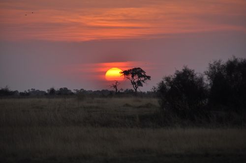Saulėlydis, Botsvana, Okavango