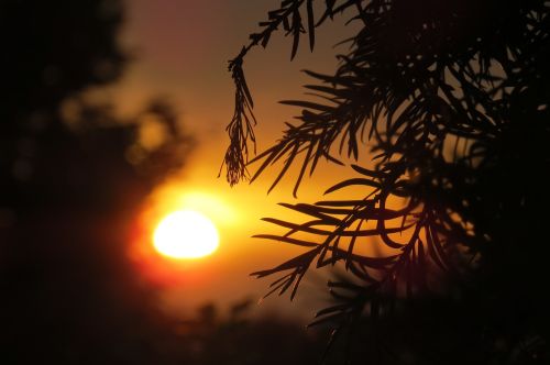 Saulėlydis, Saulė, Abendstimmung, Besileidžianti Saulė, Dangus, Romantiškas, Vakarinis Dangus