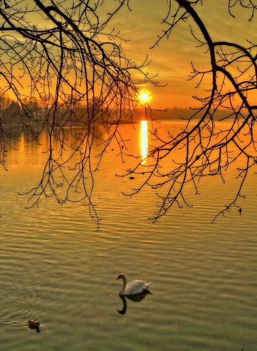 Saulėlydis, Ežeras, Saulėlydžiai, Italy, Kraštovaizdis, Saulės Saulėlydis, Oranžinė, Saulėlydžio Saulė, Twilight, Vanduo, Vakaras, Ežerai, Pusiano, Lecco, Gamta