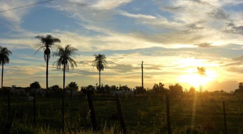 Saulėlydis, Palmės, Paragvajus, Kraštovaizdis