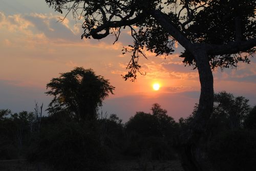 Saulėlydis, Afrika, Safari, Stepė, Nacionalinis Parkas, Afterglow, Abendstimmung