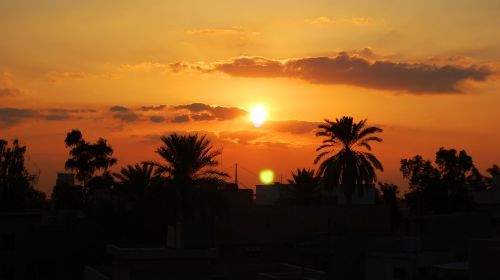 Saulėlydis, Baghdad, Palmės, Iraq, Siluetas