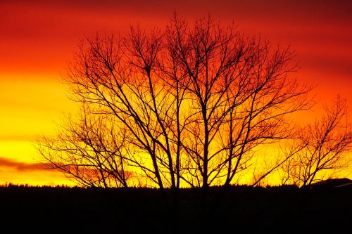 Saulėlydis, Abendstimmung, Fono Paveikslėlis, Westerwald, Oranžinė, Afterglow