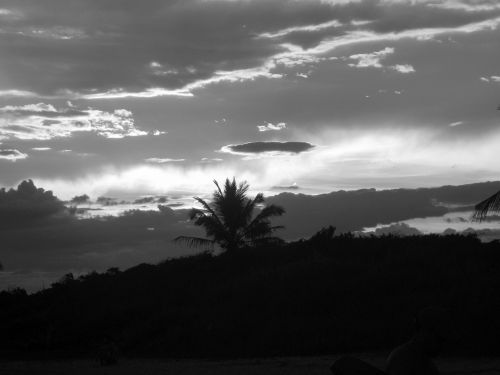 Saulėlydis, Kokoso Medžiai, Beira Mar, Papludimys
