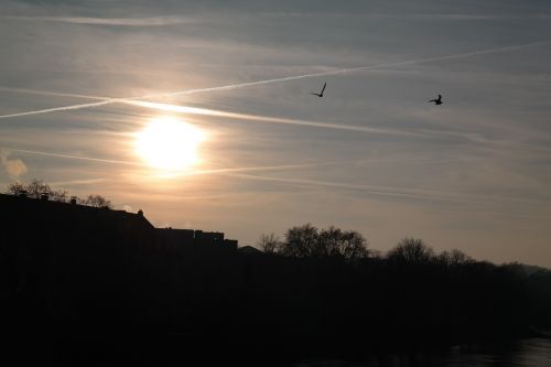 Saulėlydis, Paukščiai, Skristi, Contrail, Saulė, Dangus, Debesys, Auksinis, Spindesys, Abendstimmung