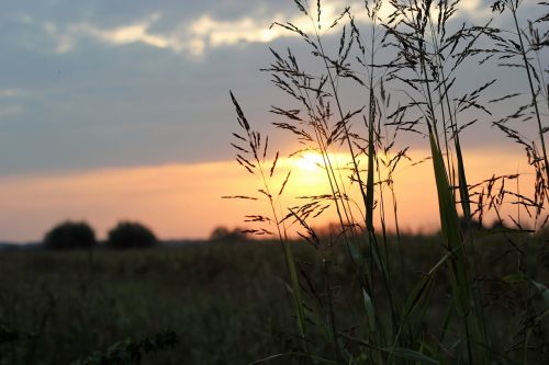 Saulėlydis, Vakaras, Saulės Šviesa, Žolė, Lauke, Natūralus, Horizontas