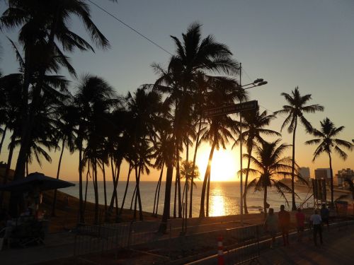 Saulėlydis, Palmės, Bahia