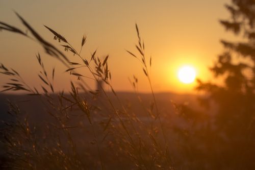 Saulėlydis, Gamta, Vakarinis Dangus, Kraštovaizdis, Romantiškas, Saulė, Afterglow, Abendstimmung, Perspektyva