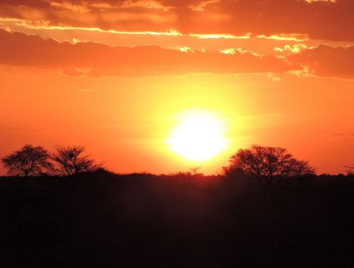 Saulėlydis, Namibija, Kalahari Dykuma
