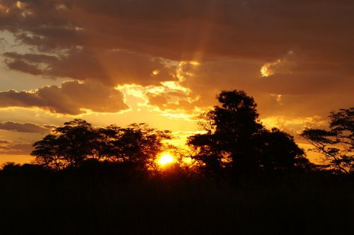 Saulėlydis, Afterglow, Kraštovaizdis, Afrika, Botsvana, Okavango